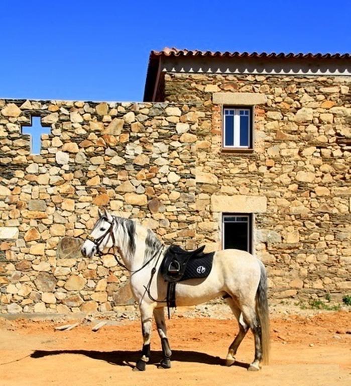 Farm stay Couto Dos Pardinhos Monforte da Beira