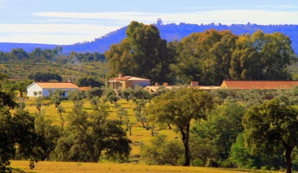 Couto Dos Pardinhos Farm stay